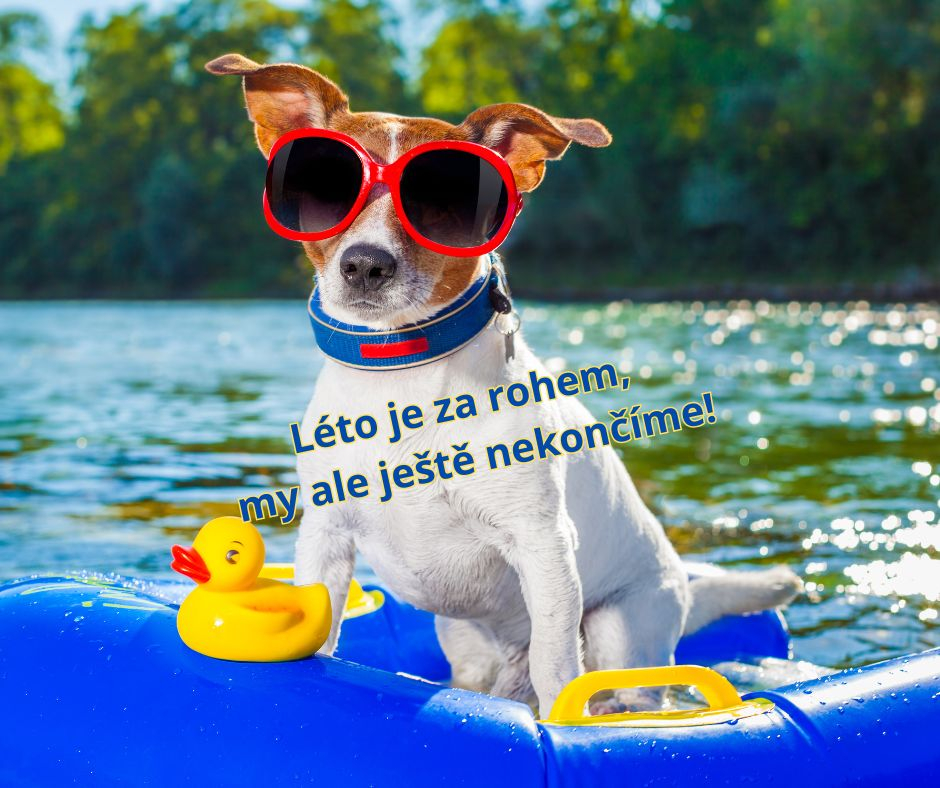 Jedeme až do konce června :)