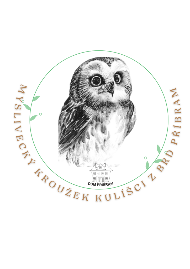 Svatohubertská mše s průvodem sv.Diany a sv.Huberta v Písku