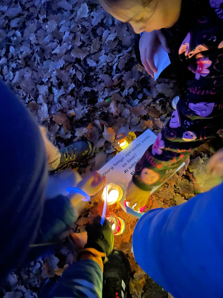 WhatsApp Image 2025-11-19 at 11.10.45 (3).jpeg