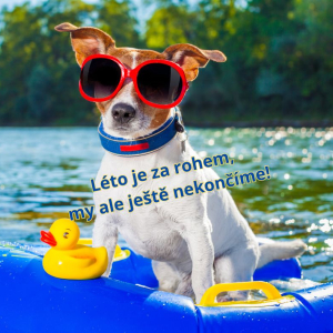 Jedeme až do konce června :)