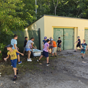 IMG_20250701_151716.jpg