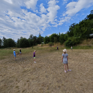 IMG_20250703_091318.jpg