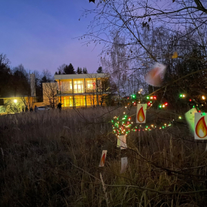 Večer plný světel